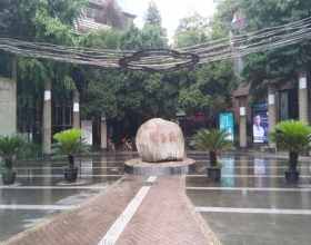 【三洲娇子苑1-1-27**】德国威能明装暖气片安装施工