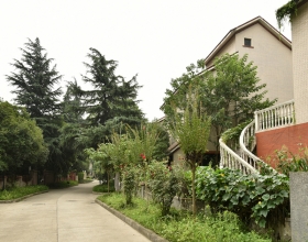 【杜甫花园6-2-***】德国威能明装暖气片安装施工