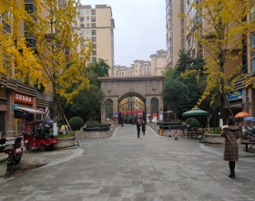 【隆鑫映象城邦8-2-***】德国威能明装暖气片安装施工