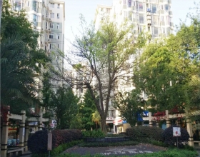 【花样年华风华庭2-1-1***】德国威能暗装暖气片安装施工