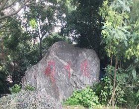 【解甲园5-4-***】德国威能明装暖气片安装施工