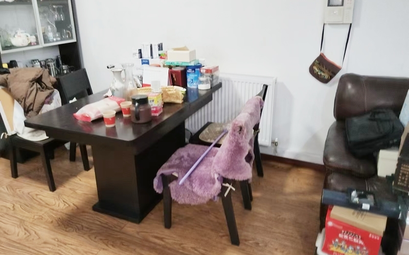 【优客联邦二期2-2-202】德国威能明装暖气片安装施工